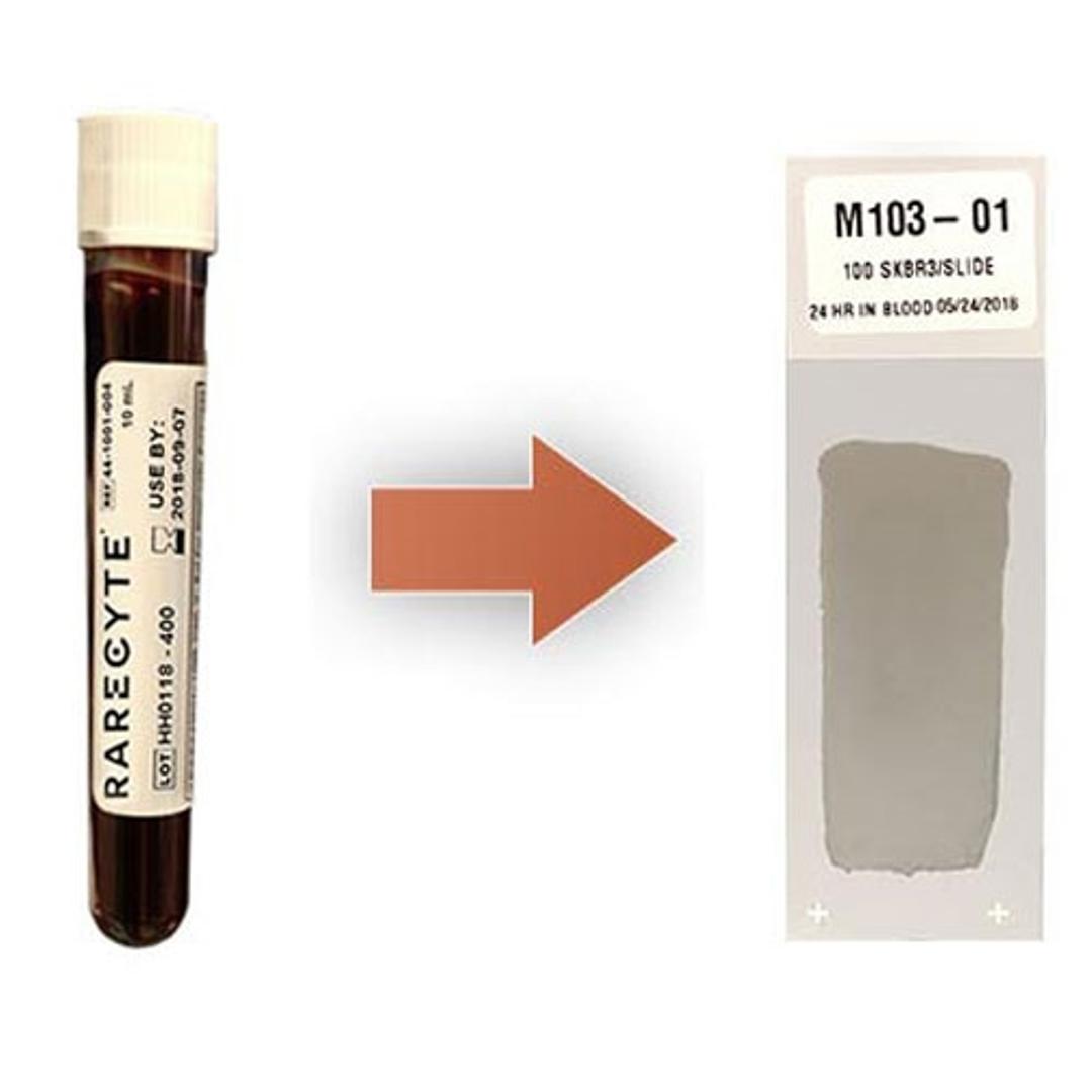 AccuCyte Sample Preparation System - RareCyte, Inc - Life Sciences
