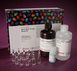Thermo Scientific™ Micro BCA™ Protein Assay Kit - Thermo Fisher Scientific - Life Sciences