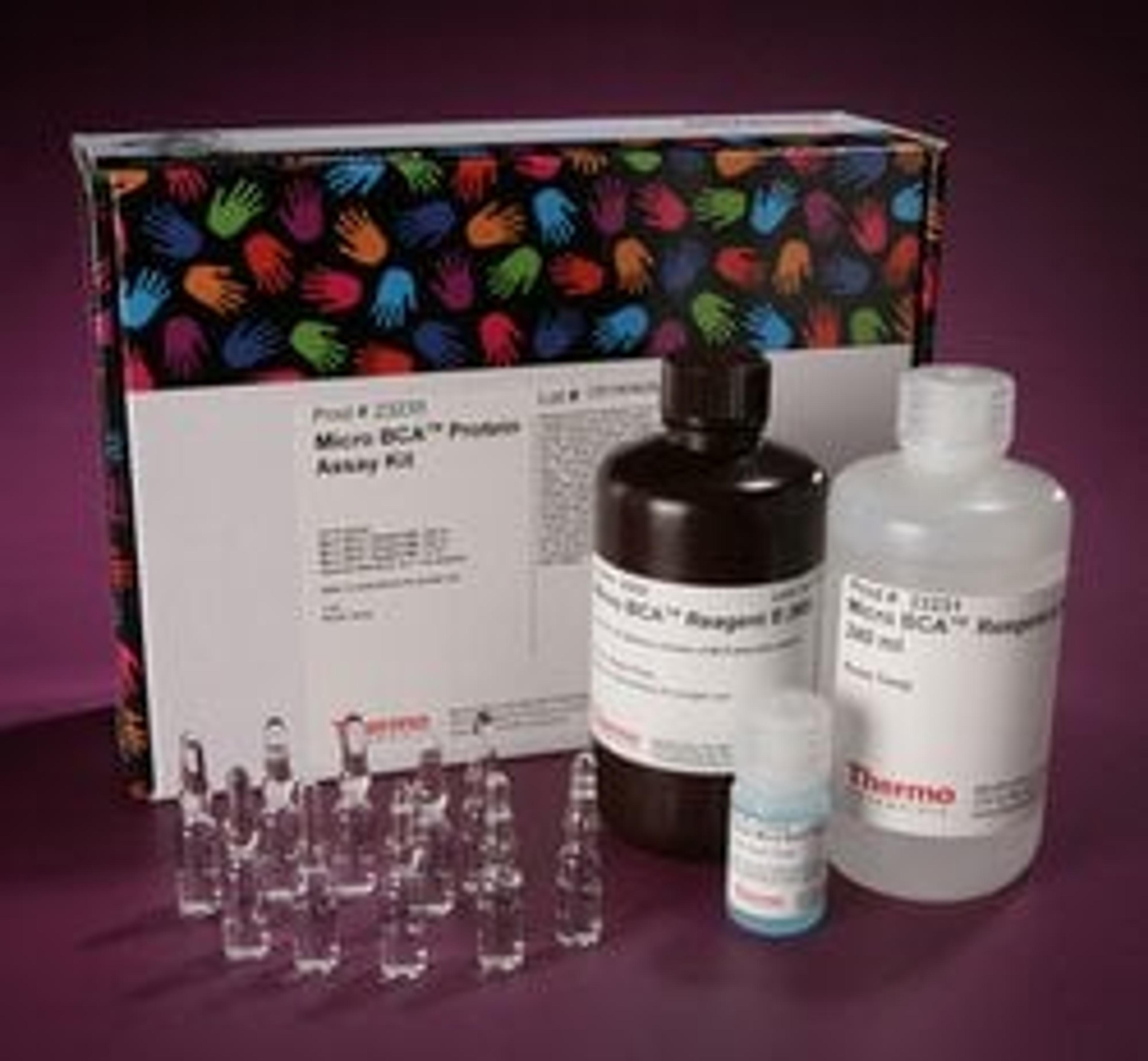 Thermo Scientific™ Micro BCA™ Protein Assay Kit - Thermo Fisher Scientific - Life Sciences