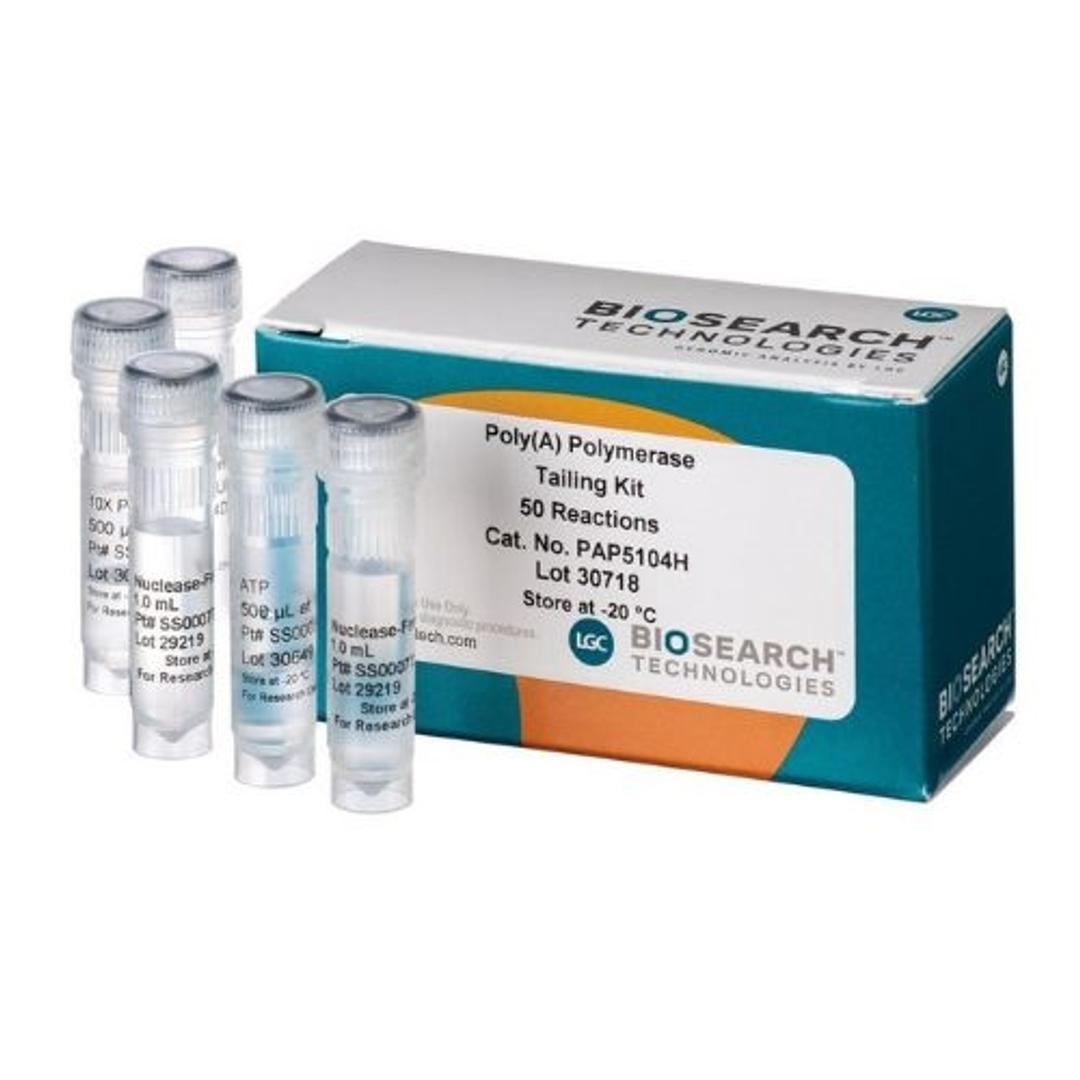 Poly(A) polymerase tailing kit - LGC Biosearch Technologies - General Lab