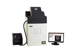 UVP iBox Scientia™ Small Animal Imaging System - UVP, An Analytik Jena Company - Life Sciences