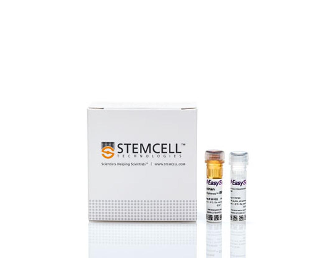EasySep™ Human ILC2 Enrichment Kit - STEMCELL Technologies Inc. - Life Sciences