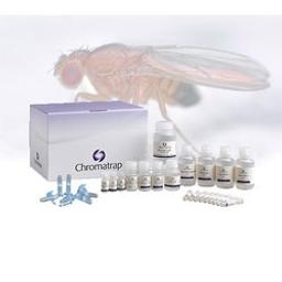 Chromatrap® Drosophila ChIP-Seq Kit - Chromatrap - Life Sciences