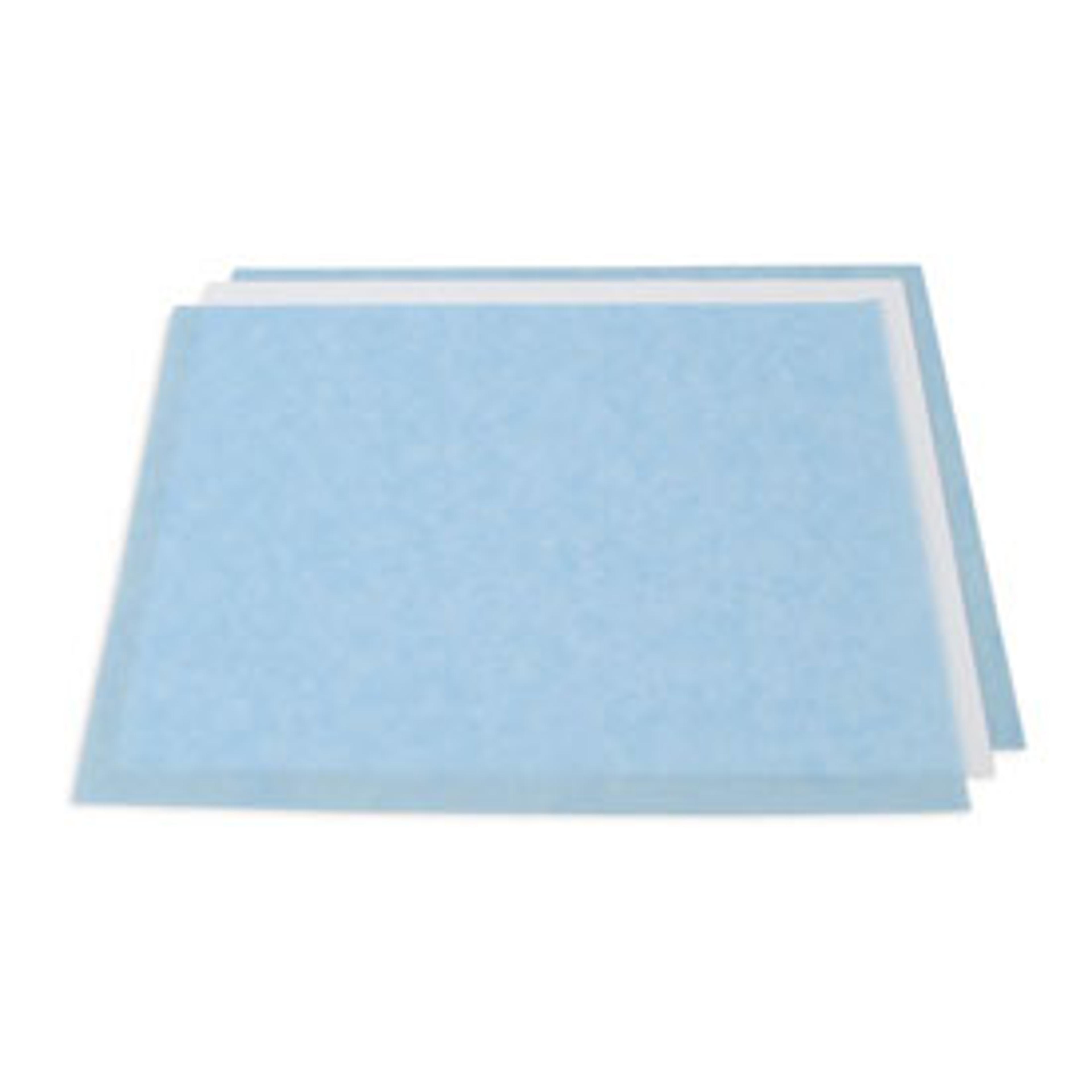 Zeta-Probe® Membrane, 20 x 20 cm - Bio-Rad - Life Sciences