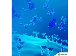 Neoantigen Peptide Synthesis Service - GenScript - Drug Discovery & Development