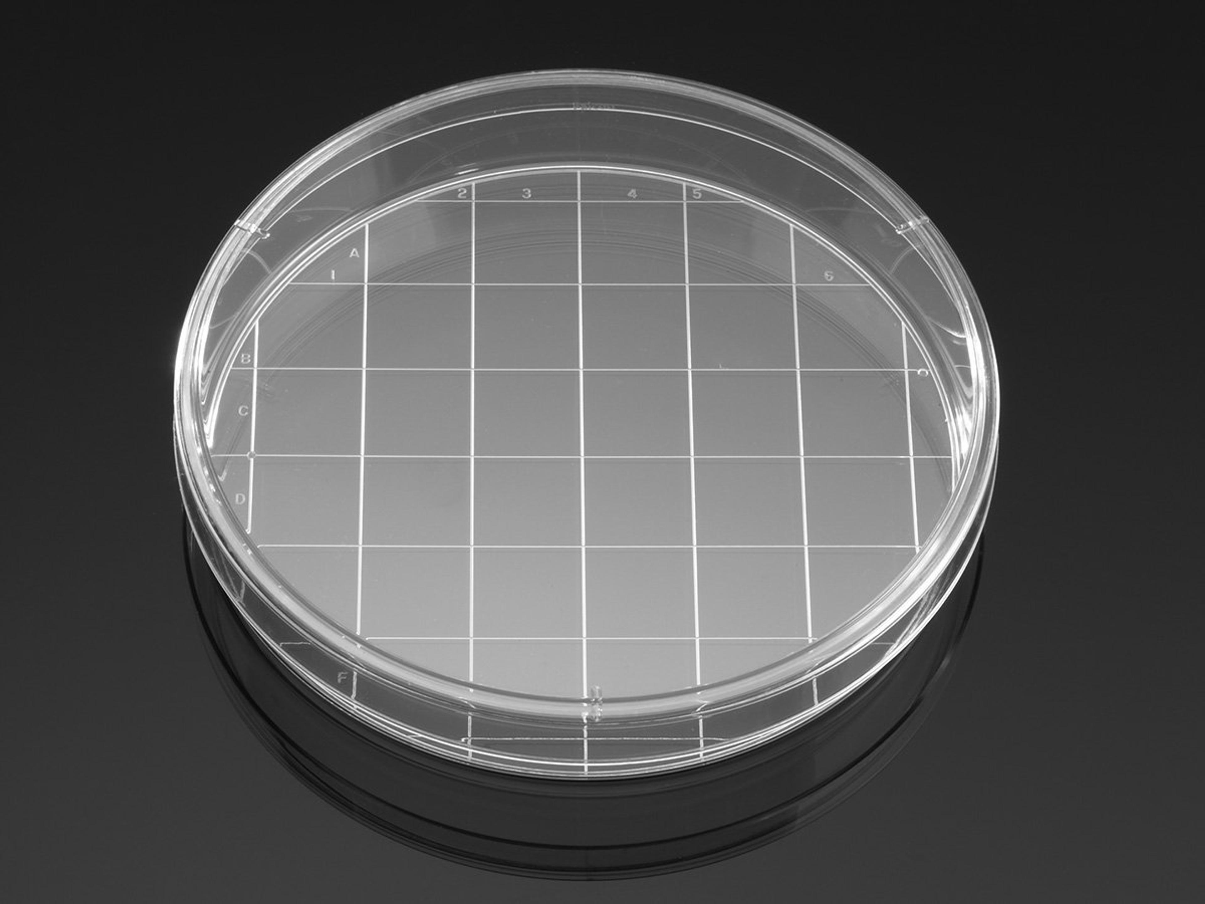Falcon® 150 mm TC-treated Cell Culture Dish with 20 mm Grid, 10/Pack, 100/Case, Sterile - Corning Life Sciences - General Lab