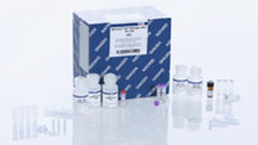 QIAamp UCP Pathogen Mini Kit - QIAGEN