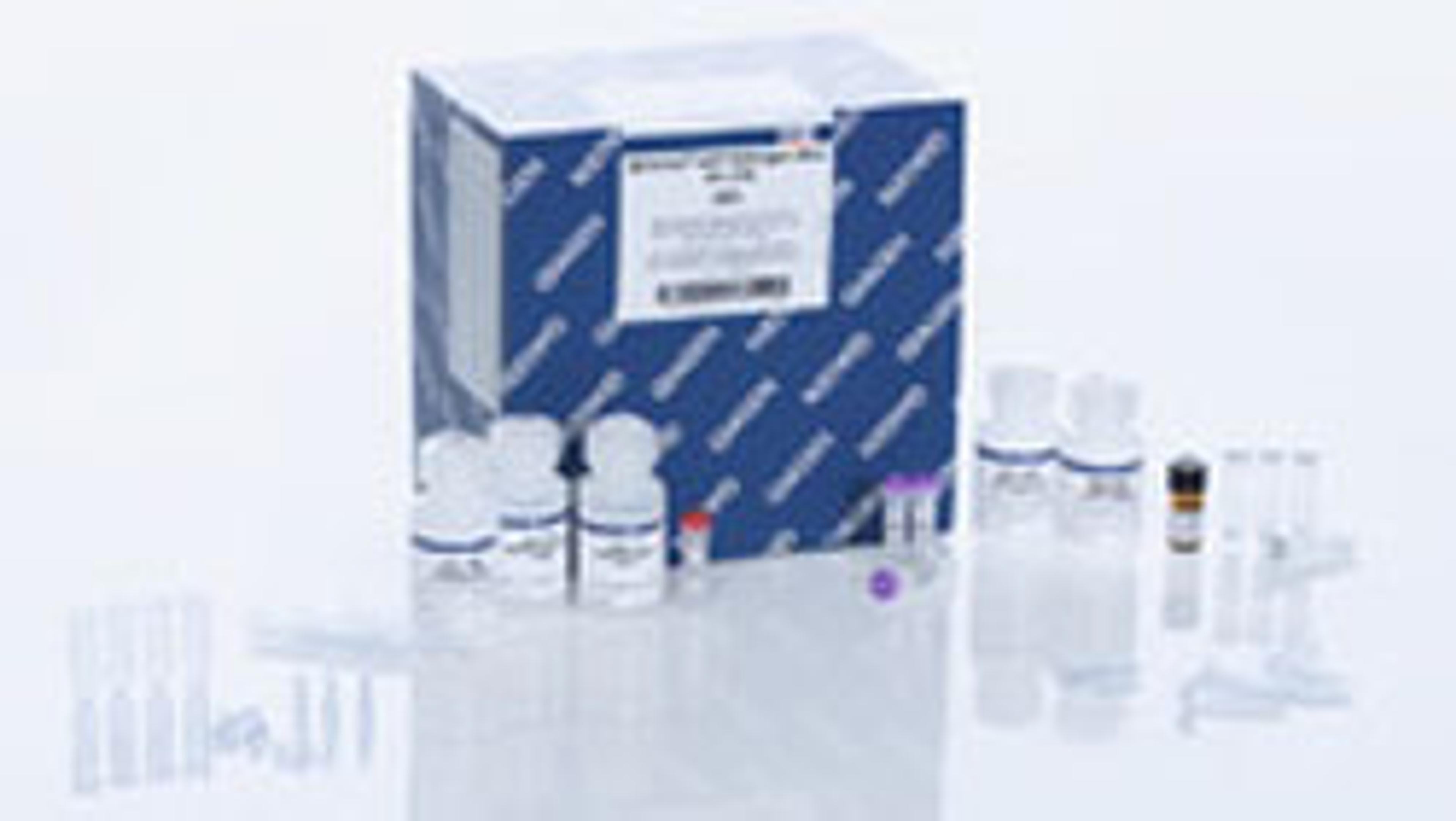 QIAamp UCP Pathogen Mini Kit - QIAGEN