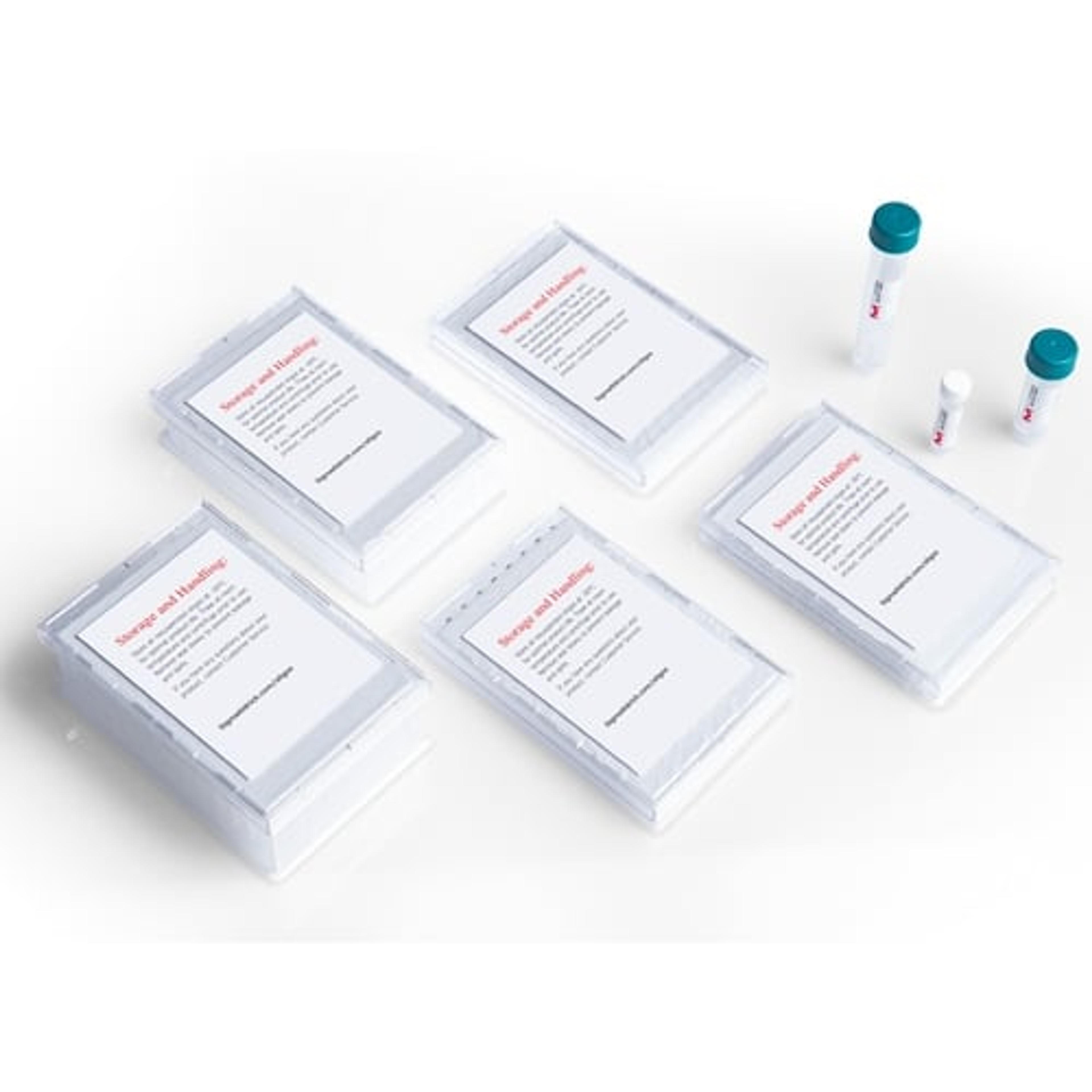 Custom & Predesigned DNA Oligos & qPCR Probes - Merck - Life Sciences