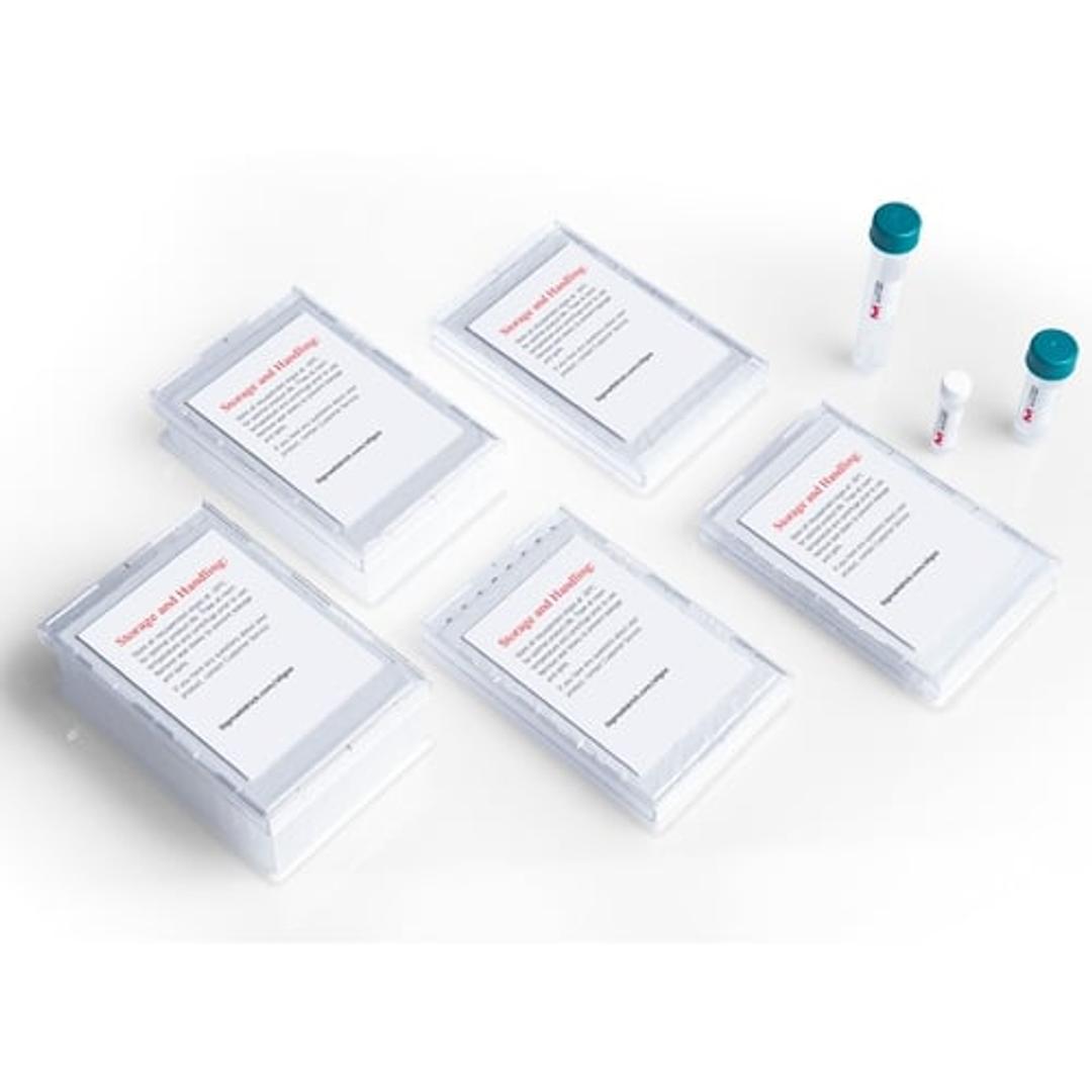 Custom & Predesigned DNA Oligos & qPCR Probes - Merck - Life Sciences