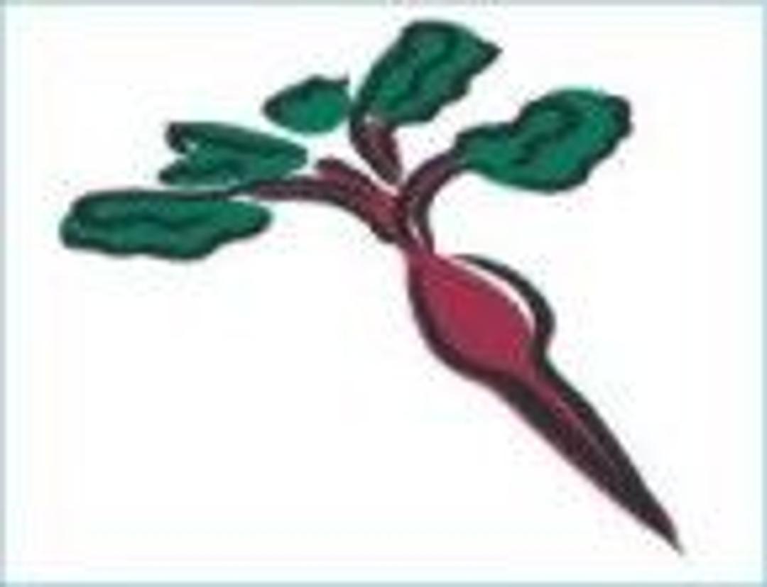 Horseradish Peroxidase - null - Life Sciences