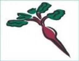 Horseradish Peroxidase - null - Life Sciences