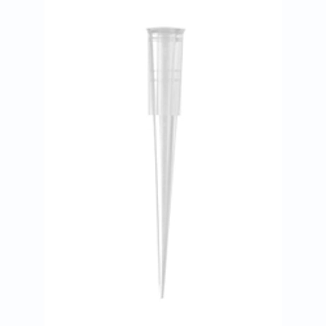 Axygen® 200µL Universal Fit Pipet Tip - Axygen Scientific, Inc. - General Lab