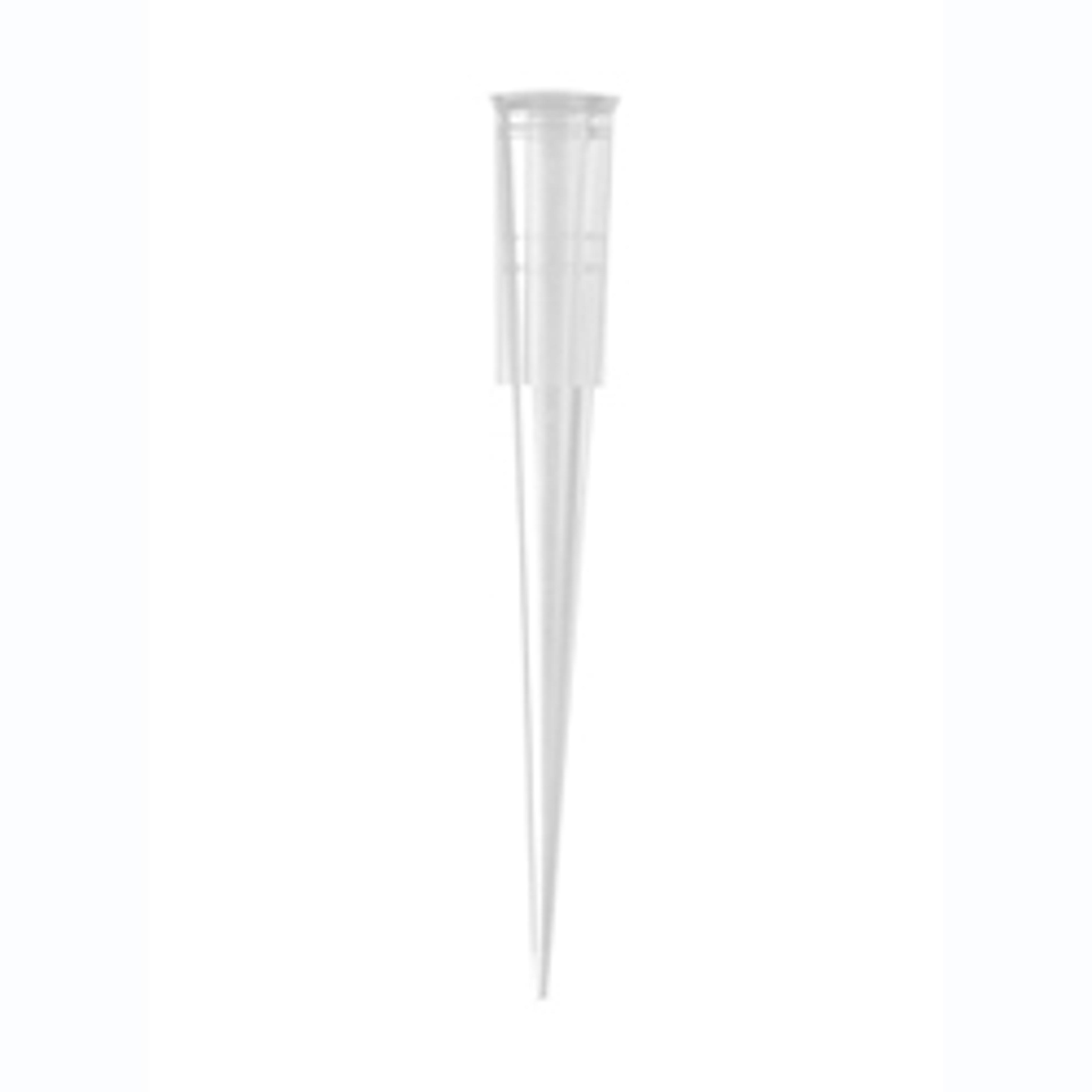 Axygen® 200µL Universal Fit Pipet Tip - Axygen Scientific, Inc. - General Lab