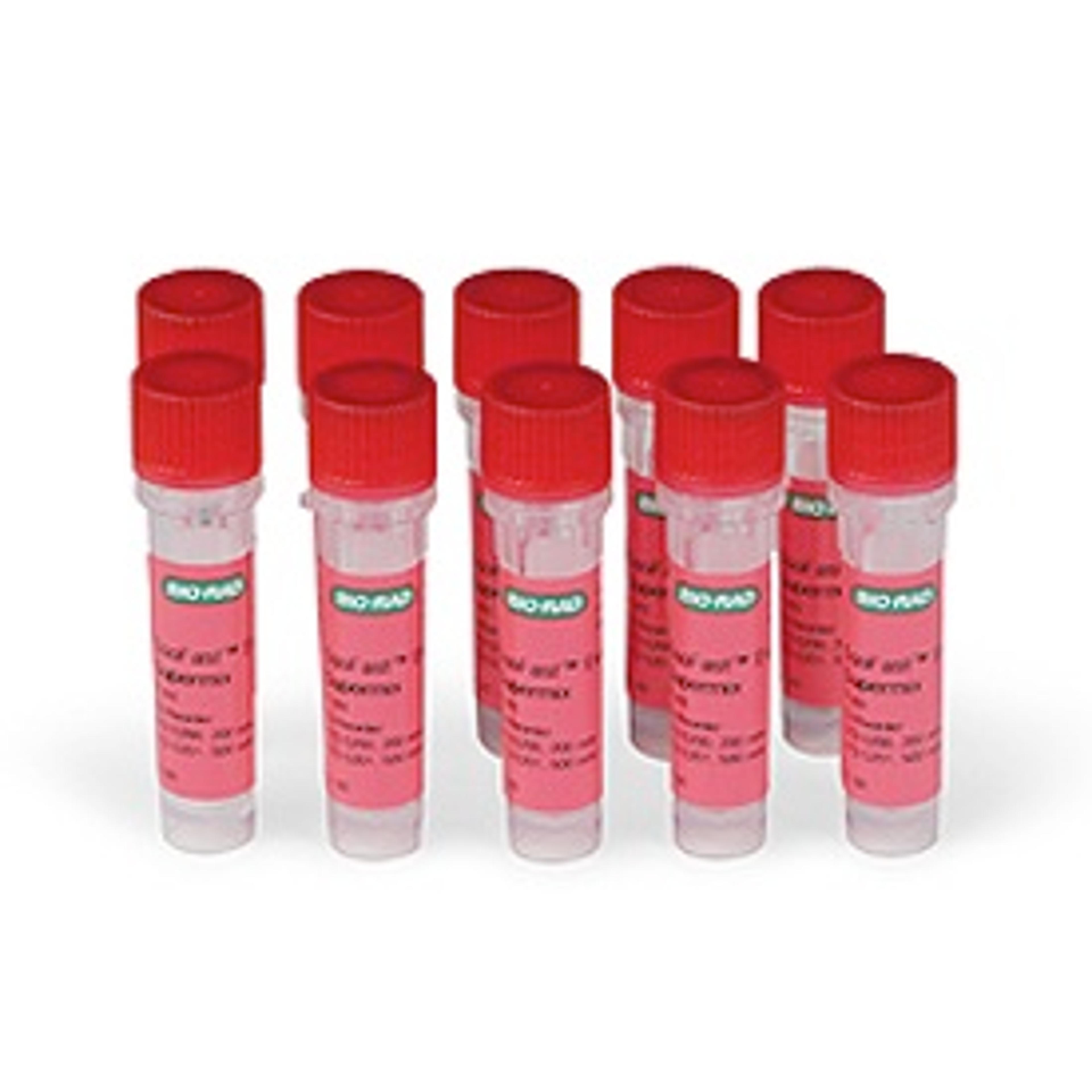 SsoFast™ EvaGreen® Supermix, 1,000 x 20 µl rxns, 10 ml (10 x 1 ml) - Bio-Rad - Life Sciences