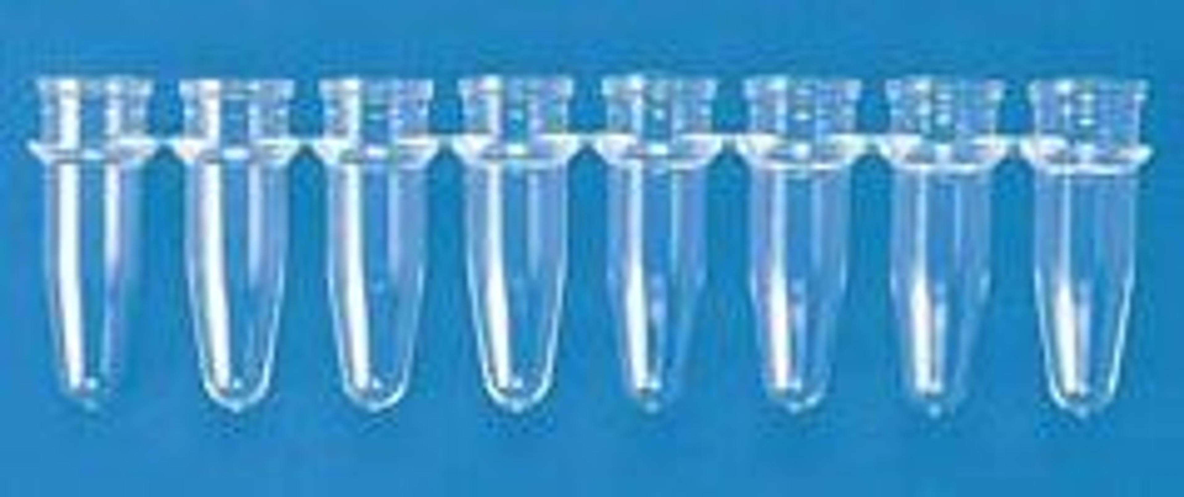 Thermo Scientific Omnistrip PCR Tubes - Thermo Fisher Scientific - Life Sciences