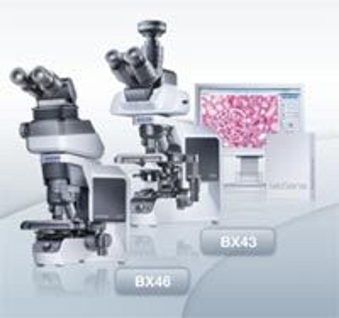 BX3 Series Modular Microscope Systems - EVIDENT - Life Sciences