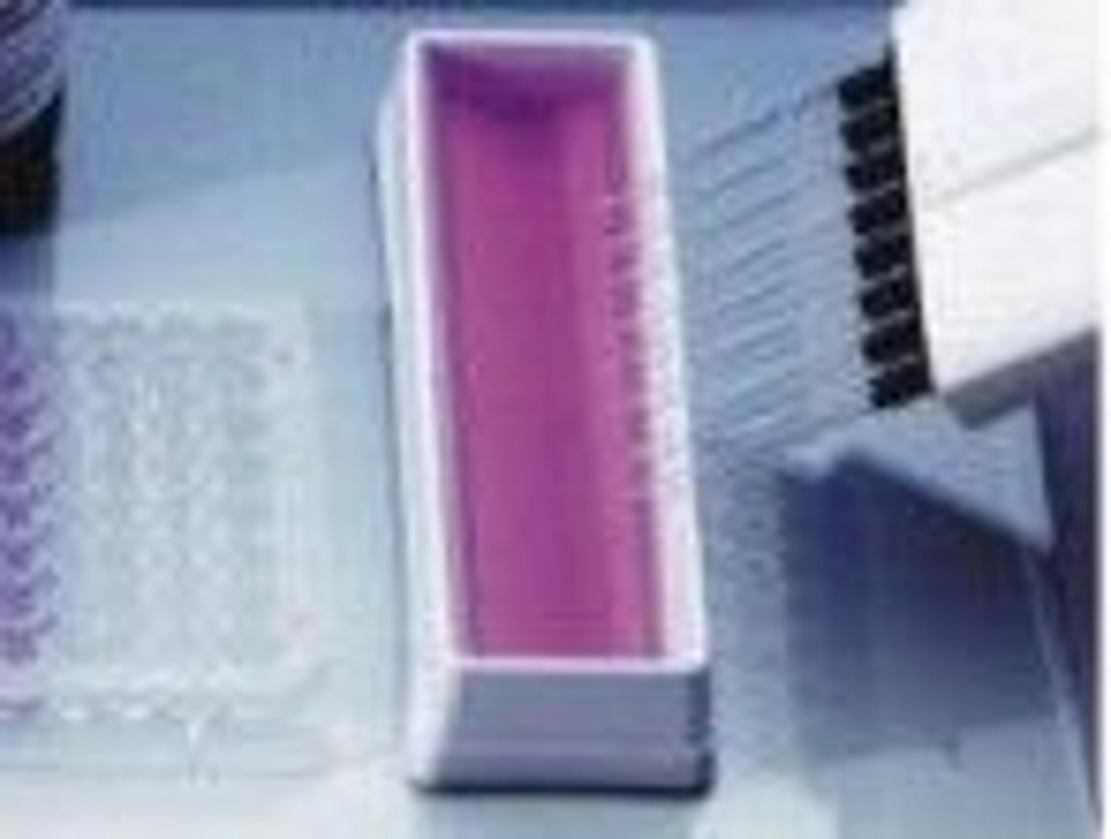 TMB PLUS - Prestained - null - Life Sciences