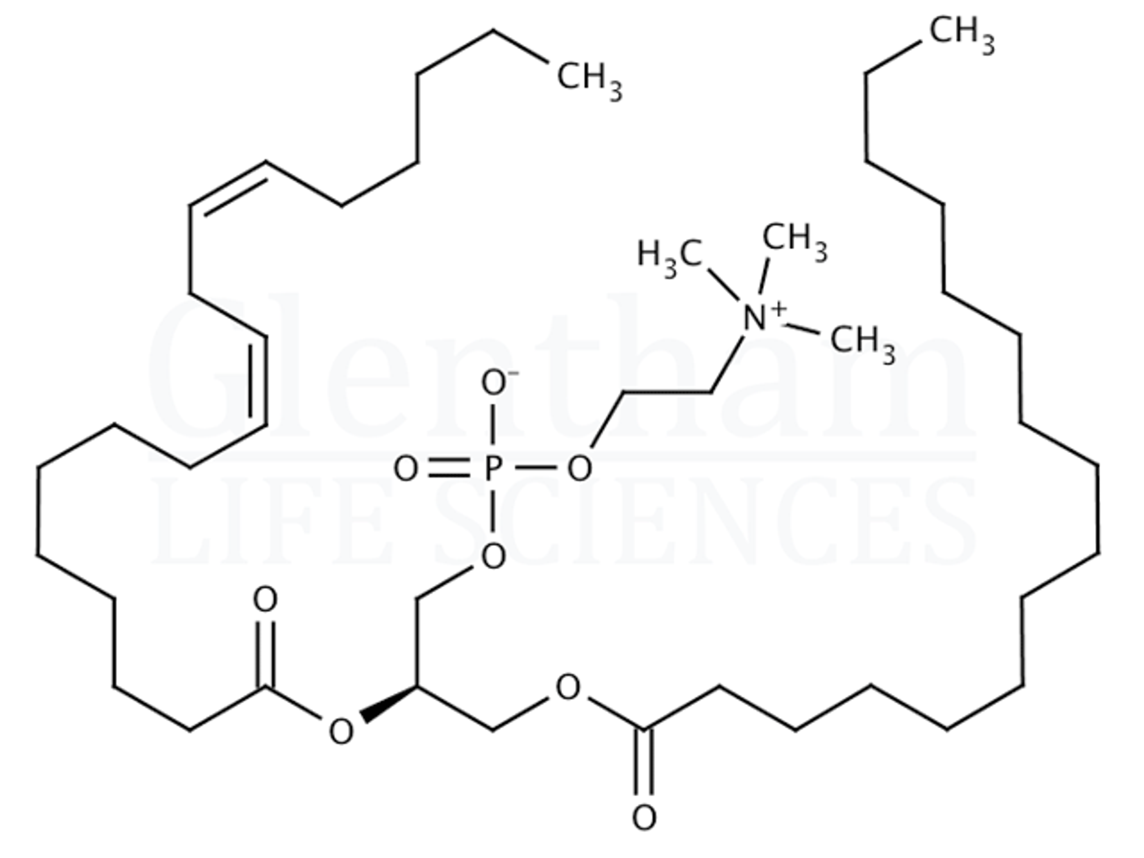 Soya lecithin, powder - Glentham Life Sciences - General Lab