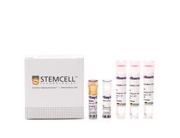 Complete Kit for Human Whole Blood CD34+ Cells - STEMCELL Technologies Inc. - Life Sciences