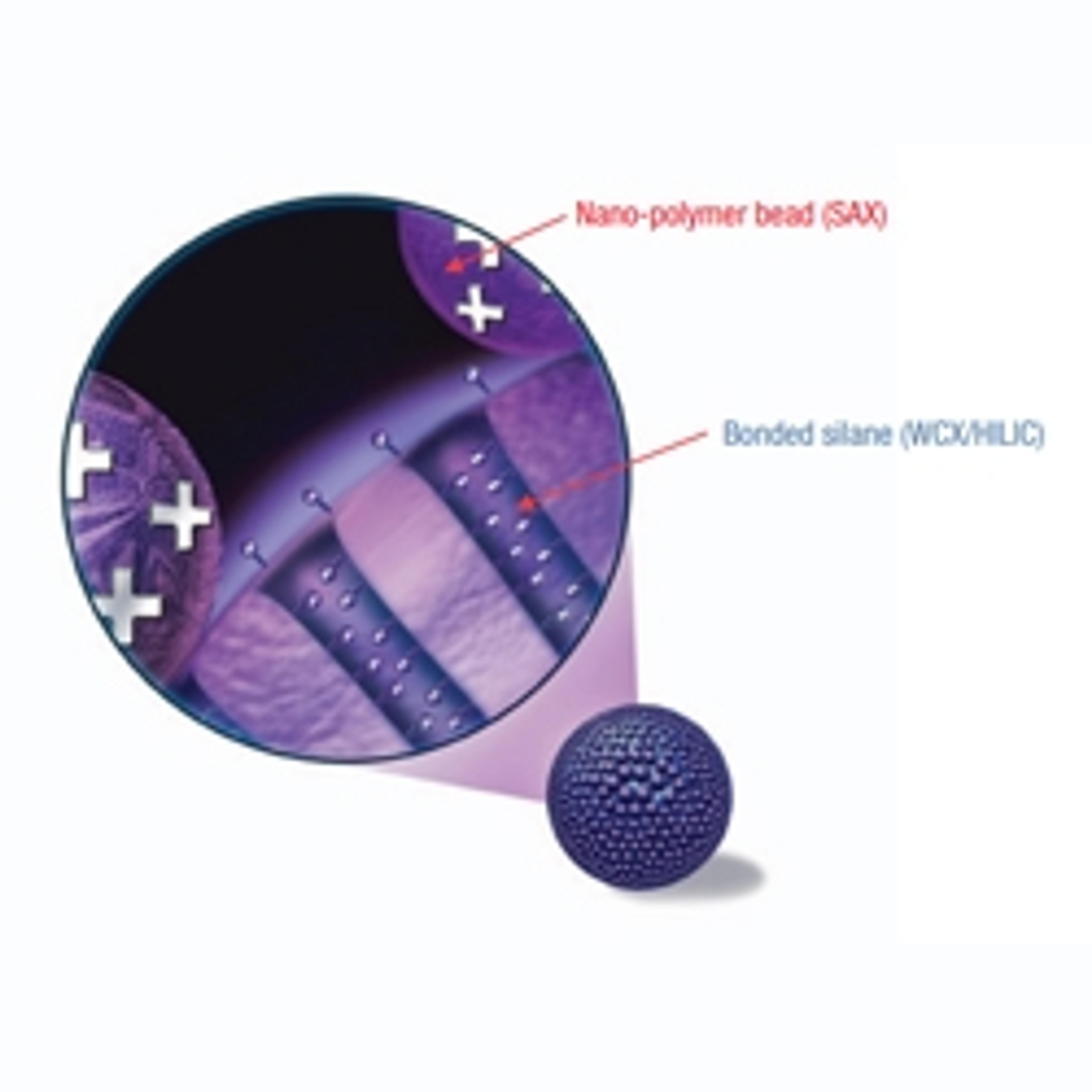 Thermo Scientific™ Acclaim™ Trinity P2 LC Column - Thermo Fisher Scientific - Separations