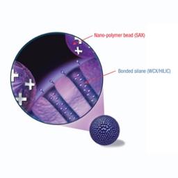 Thermo Scientific™ Acclaim™ Trinity P2 LC Column - Thermo Fisher Scientific - Separations