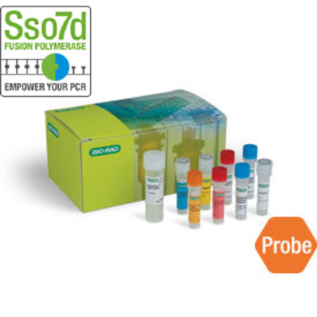 SingleShot™ Probes Kit for Cell Lysis and RT-qPCR, 100 x 50 µl reactions - Bio-Rad - Life Sciences