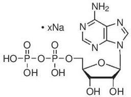 Adenosine 5′-diphosphate sodium salt - Merck KGaA, Darmstadt, Germany - Life Sciences