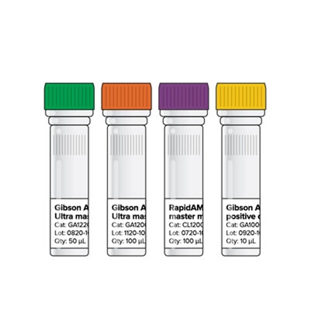 Gibson Assembly RapidAMP Ultra kit - Codex DNA - Life Sciences