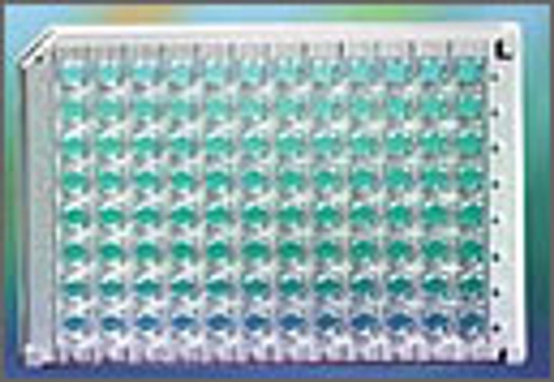 Coated Microtiter Microplates - Thermo Fisher Scientific - Life Sciences