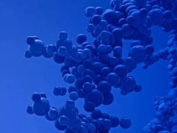 Small Nucleic Acid Drugs Development Services - GenScript - Life Sciences