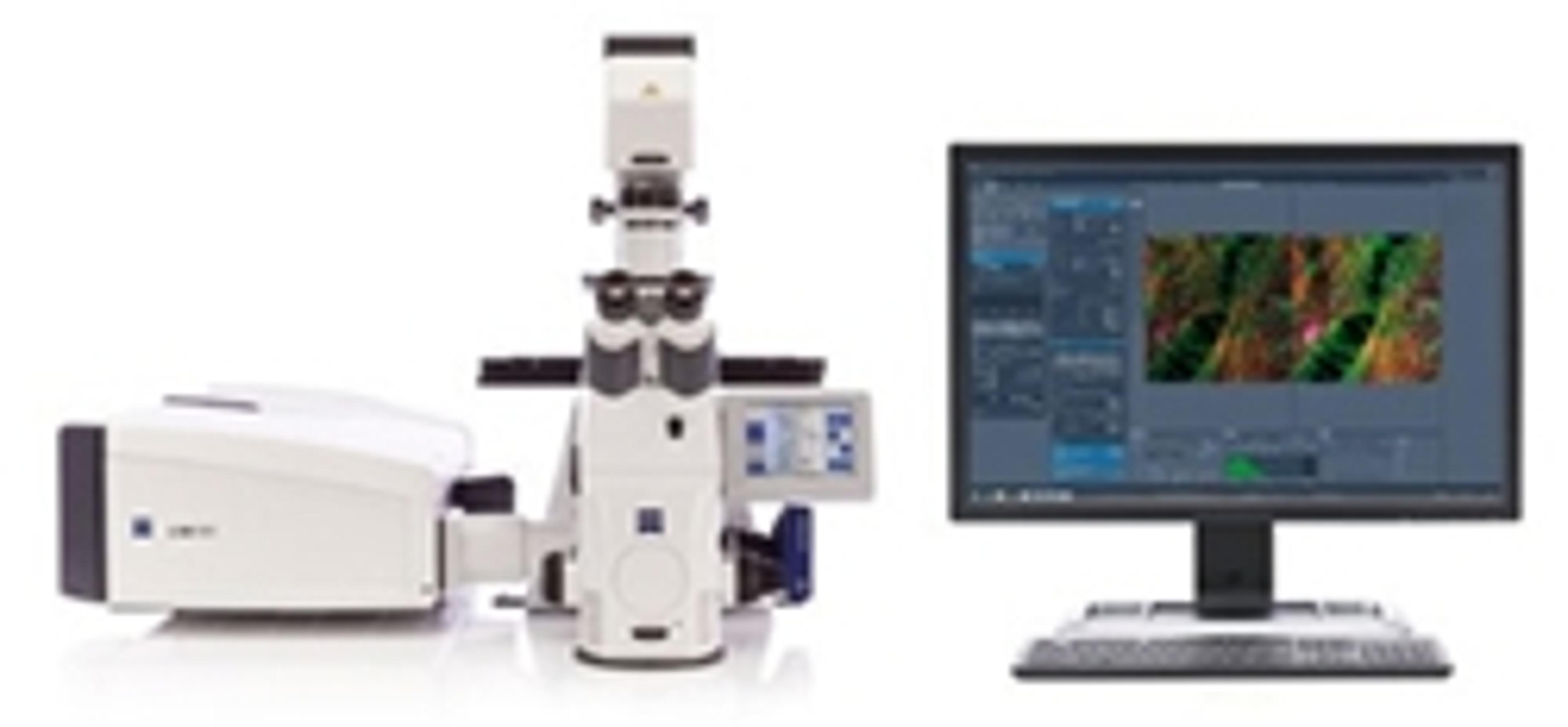 ZEISS LSM 880 with Airyscan - ZEISS Research Microscopy Solutions - Life Sciences