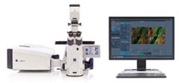 ZEISS LSM 880 with Airyscan - ZEISS Research Microscopy Solutions - Life Sciences