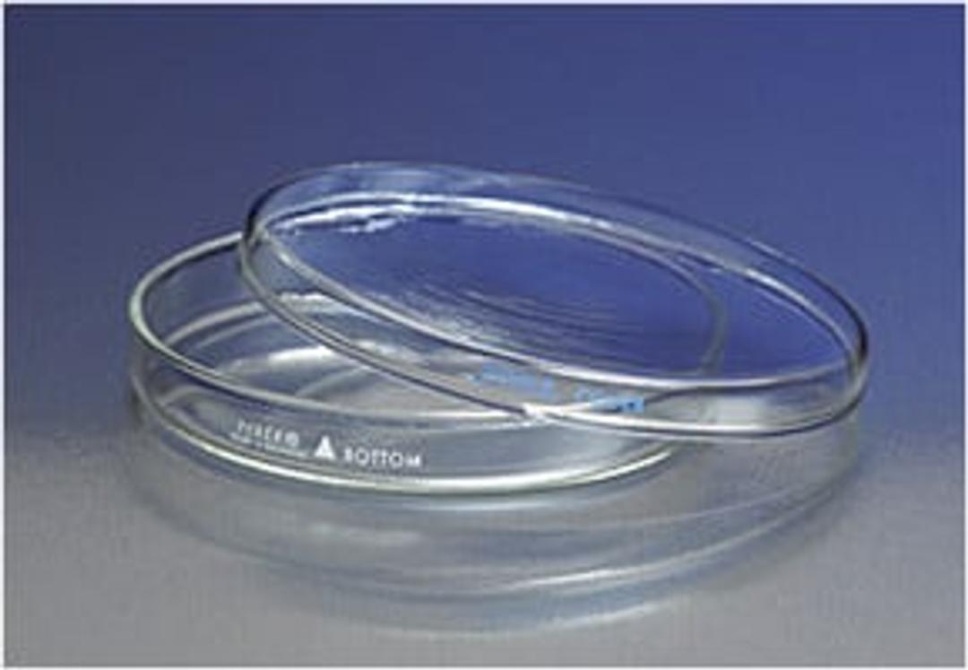PYREX® 60x15 mm Petri Dish Bottom Only - Corning Life Sciences - General Lab