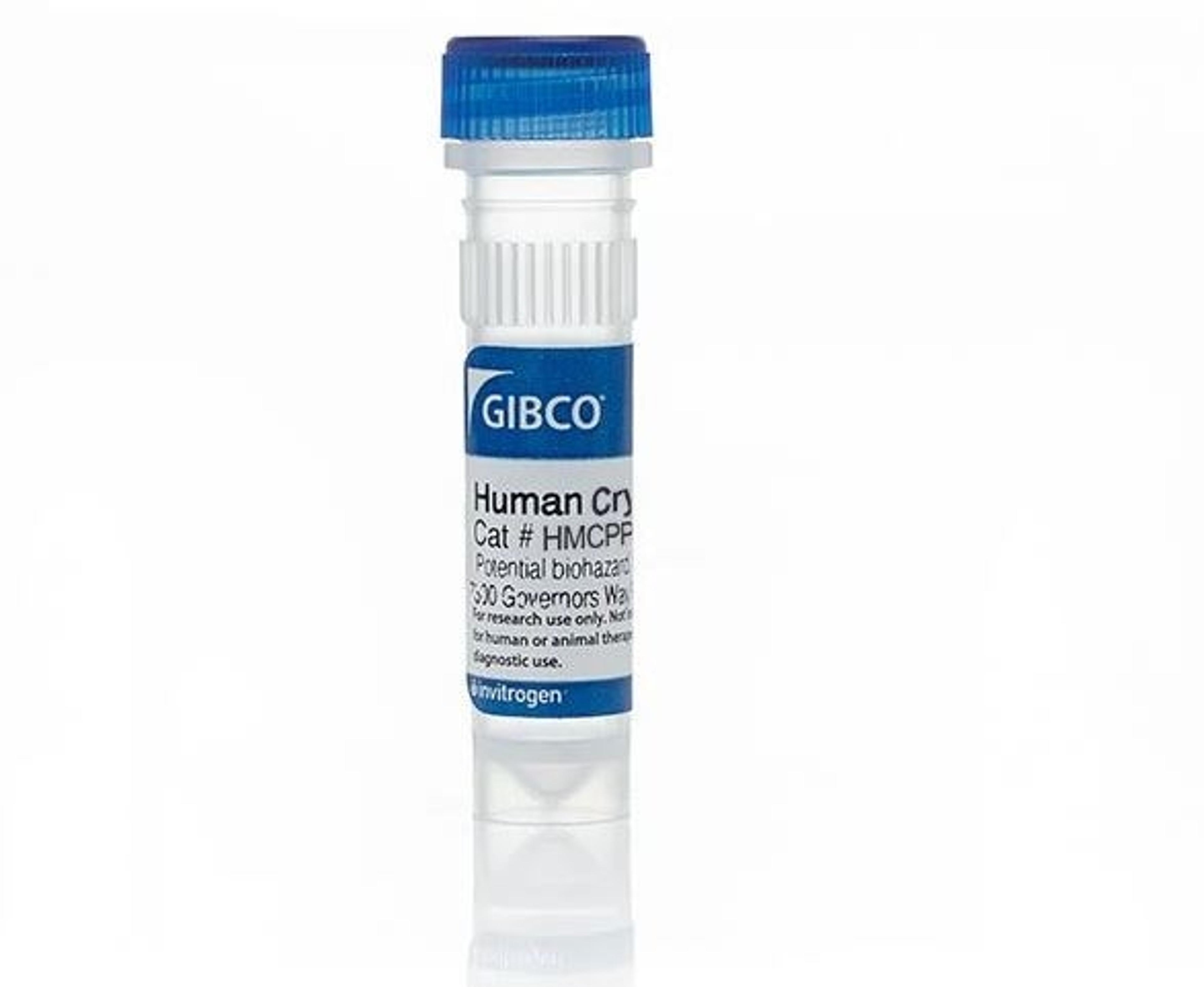 Gibco™ Human Plateable Hepatocytes - Thermo Fisher Scientific - Drug discovery > Pre-Clinical Development