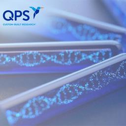 QPS Global Regulatory Affairs Services - QPS - Drug discovery > Clinical Development