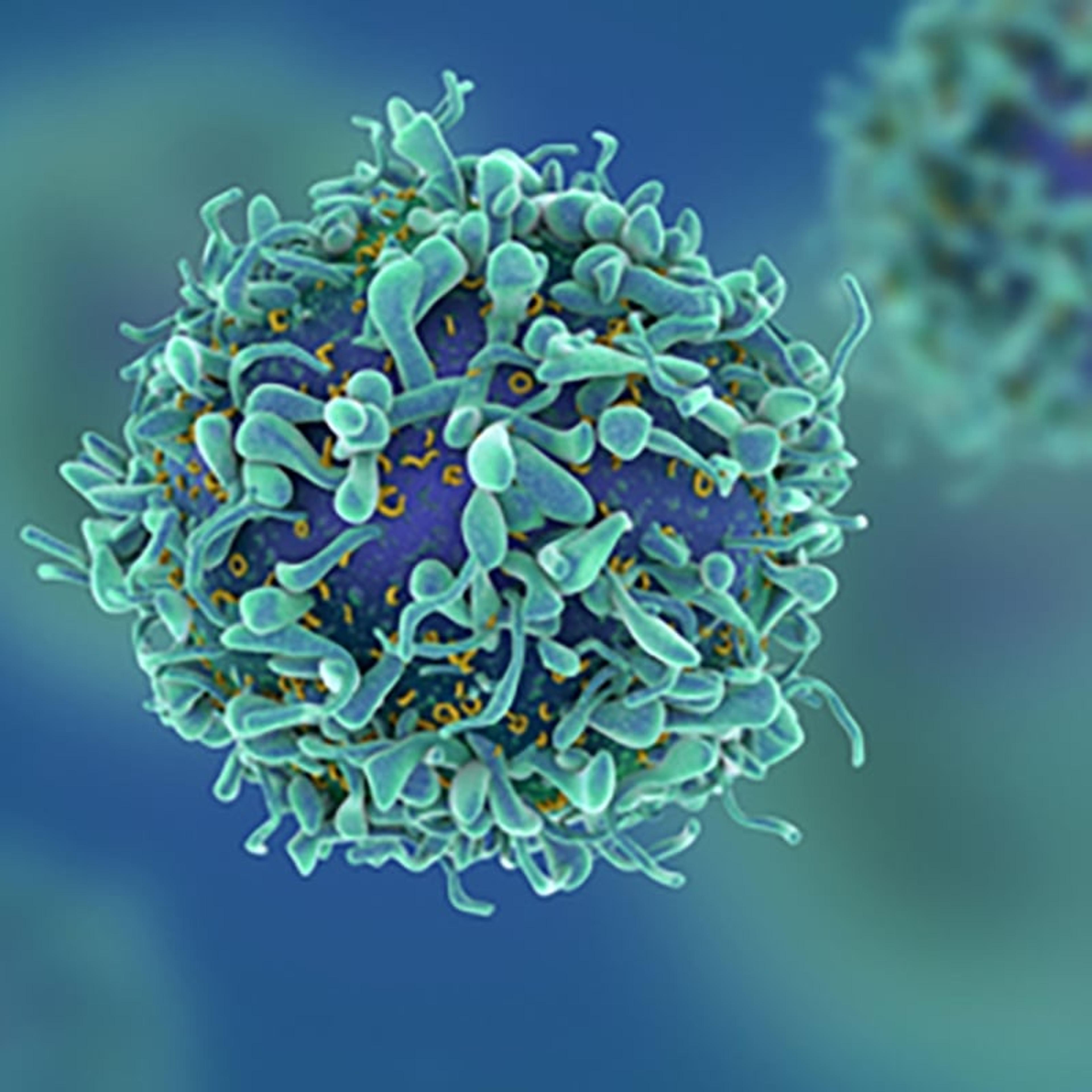 Cell-Based Immunotherapy Therapy Solutions - Thermo Fisher Scientific - Life Sciences