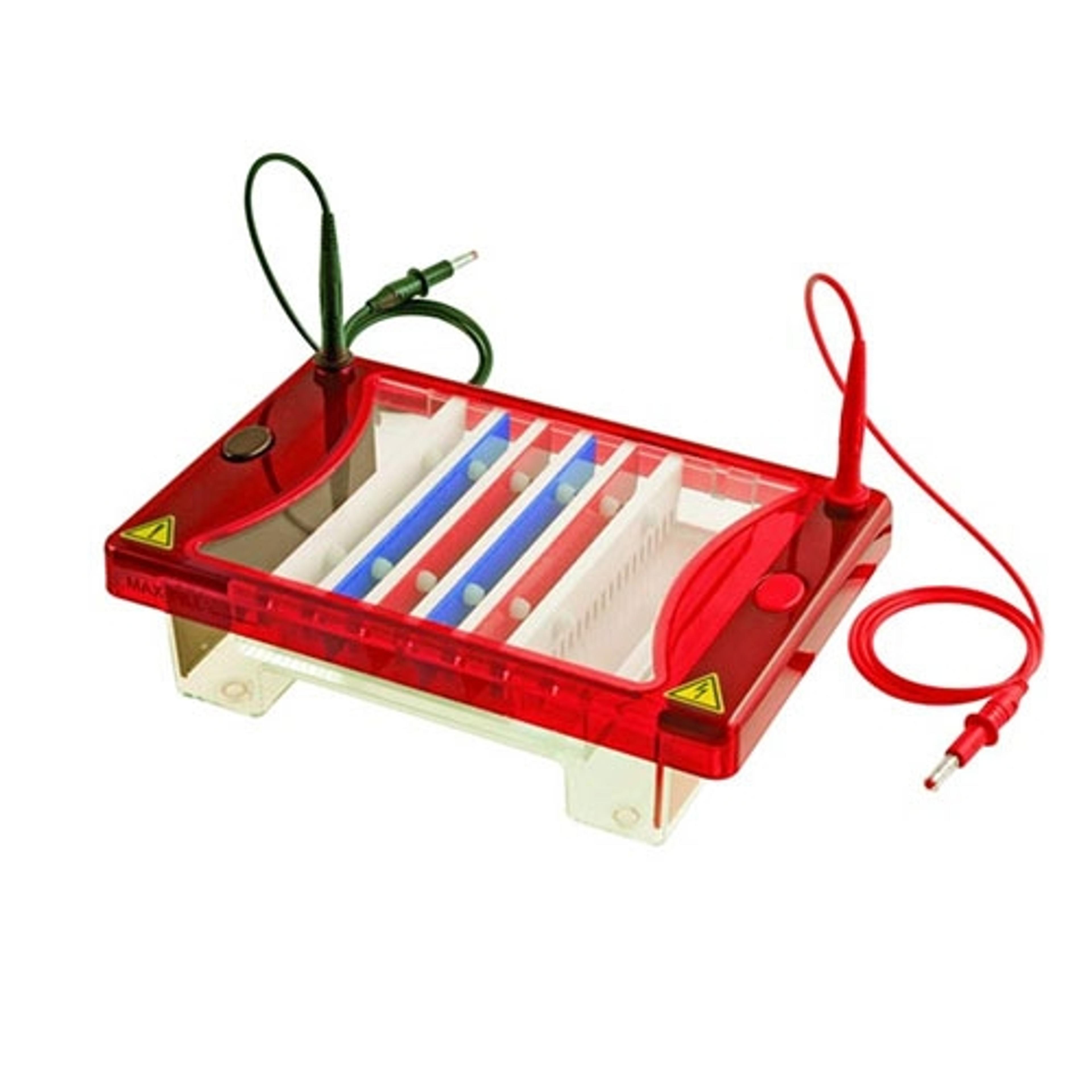 SynChoice - Syngene - Life Sciences