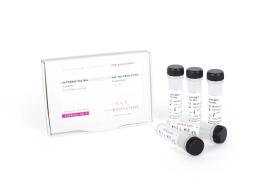 PCRBIO Taq Mix - PCR Biosystems - Life Sciences