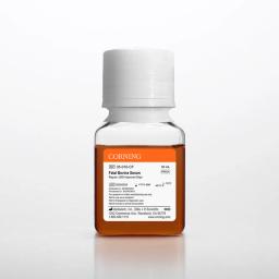 Corning® Fetal Bovine Serum, 50 mL, Regular, USDA Approved Origin - Corning Life Sciences - Life Sciences