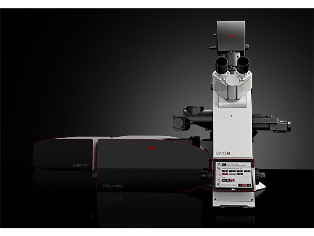 STED Microscope STELLARIS 8 STED