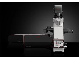 STED Microscope STELLARIS 8 STED