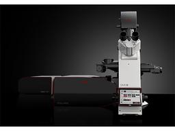 STED Microscope STELLARIS 8 STED