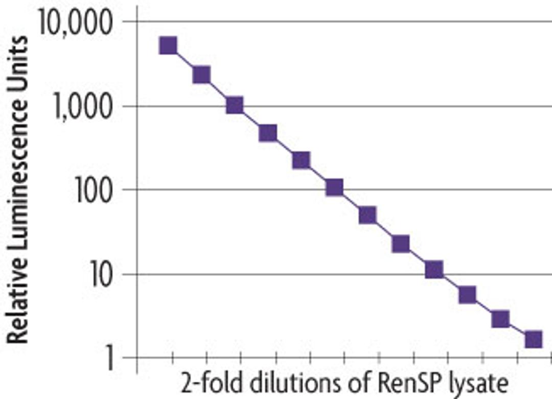 LightSwitch™ Luciferase Assay Kit - Active Motif - Life Sciences