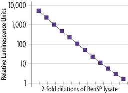 LightSwitch™ Luciferase Assay Kit - Active Motif - Life Sciences