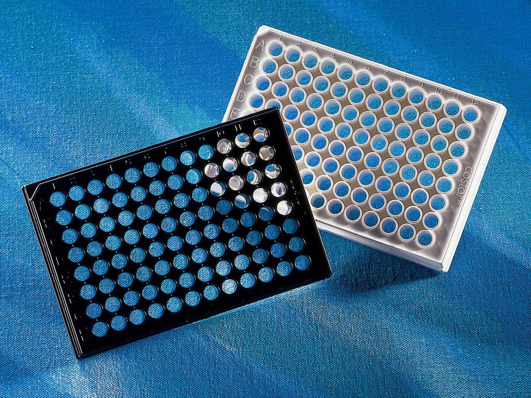 Corning® 96-well Flat Clear Bottom White Polystyrene TC-treated Microplates, Individually Wrapped, with Lid, Sterile - Corning Life Sciences - Life Sciences