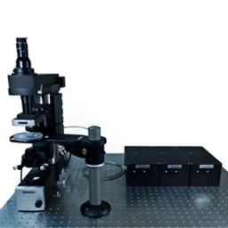 LASU - Laser Applied Stimulation & Uncaging - Scientifica Ltd - Life Sciences