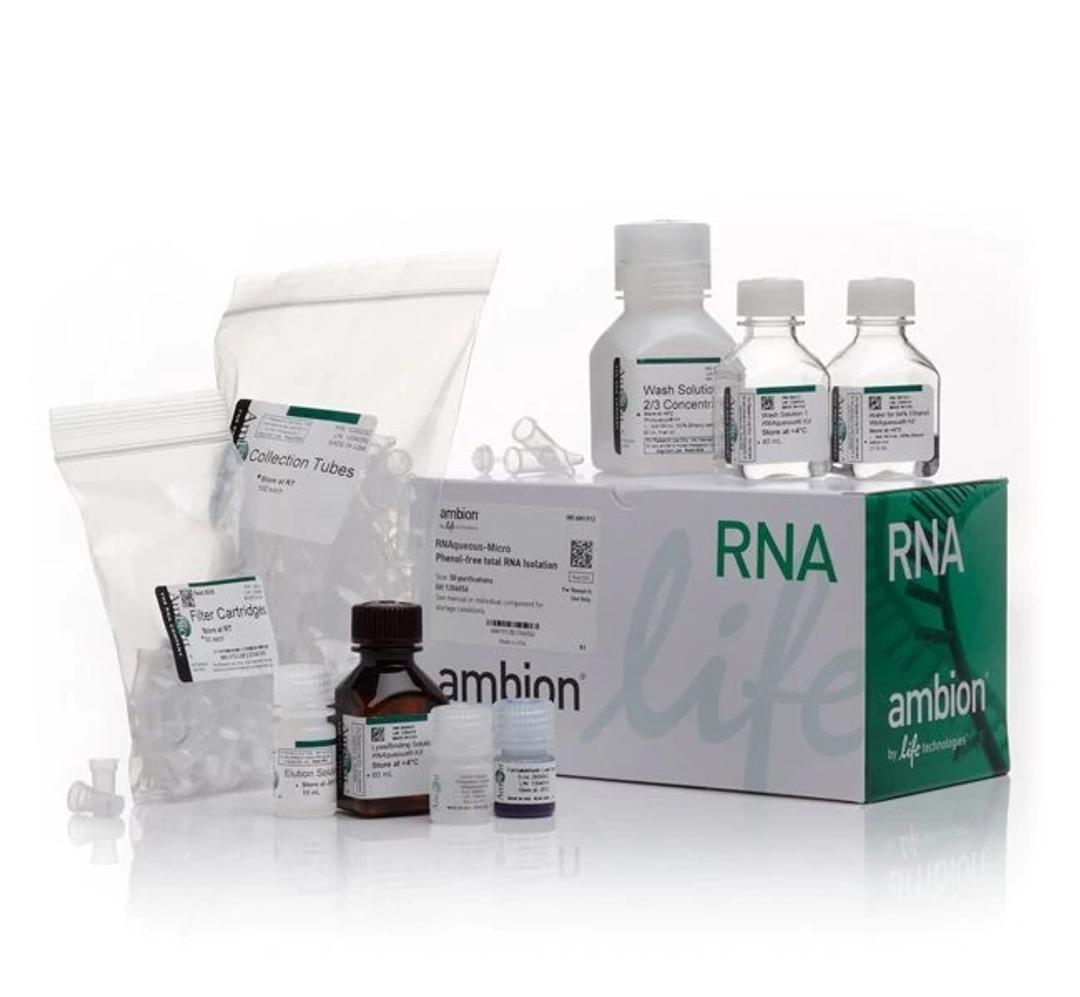 RNAqueous Micro Total RNA Isolation Kit - Thermo Fisher Scientific - Life Sciences