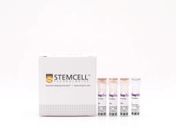 EasySep™ Human Gamma/Delta T Cell Isolation Kit - STEMCELL Technologies Inc. - Life Sciences