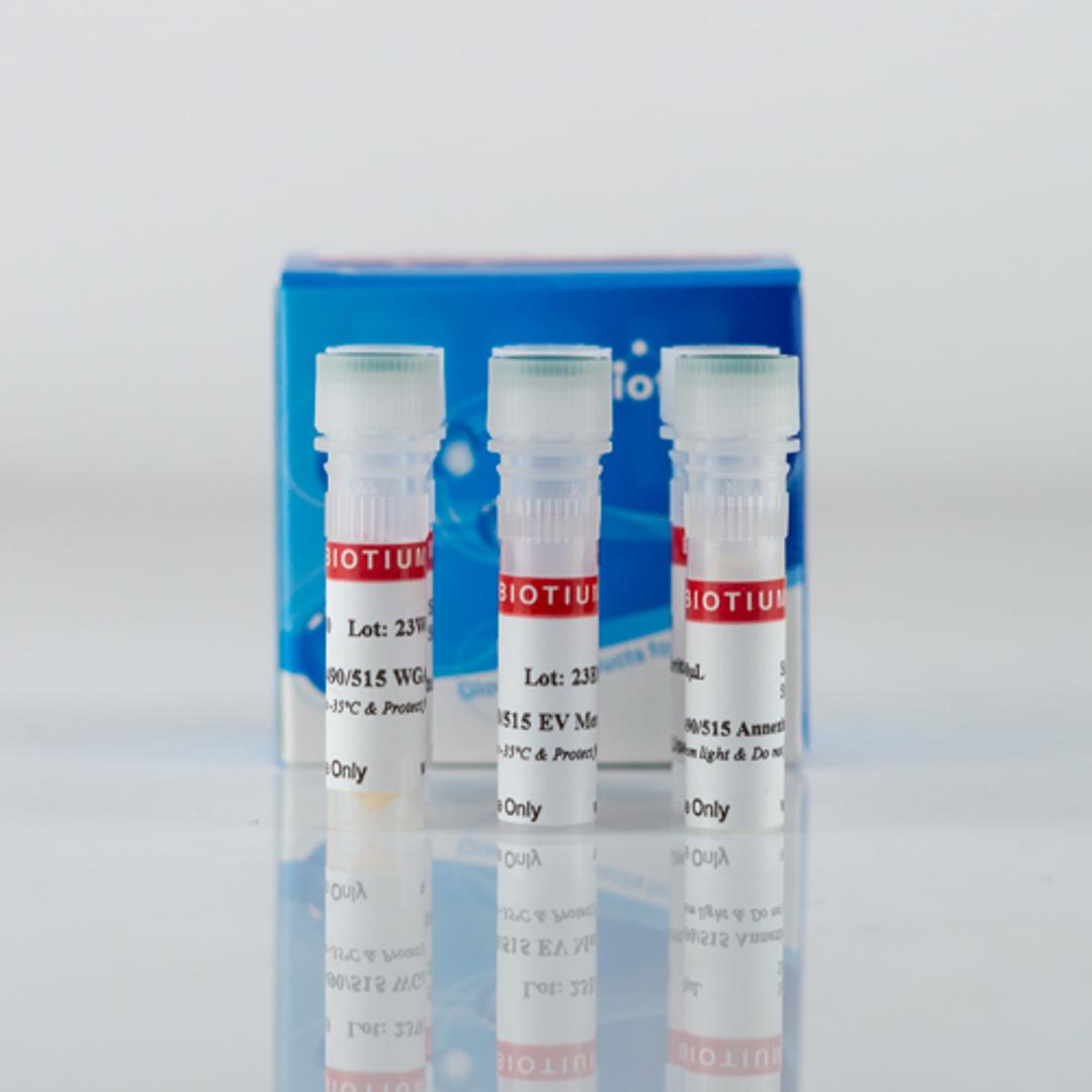 ExoBrite™ EV Surface Stain Sampler Kit, Green - Biotium - Life Sciences